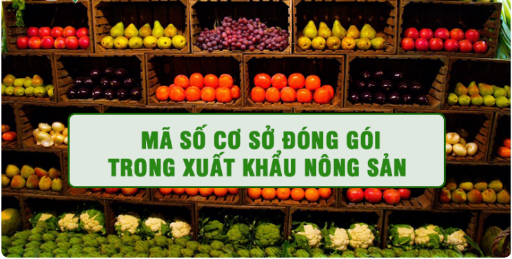 Mã số vùng trồng, cơ sở đóng gói